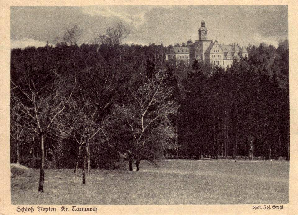 Schloß Repten, Kreis Tarnowitz