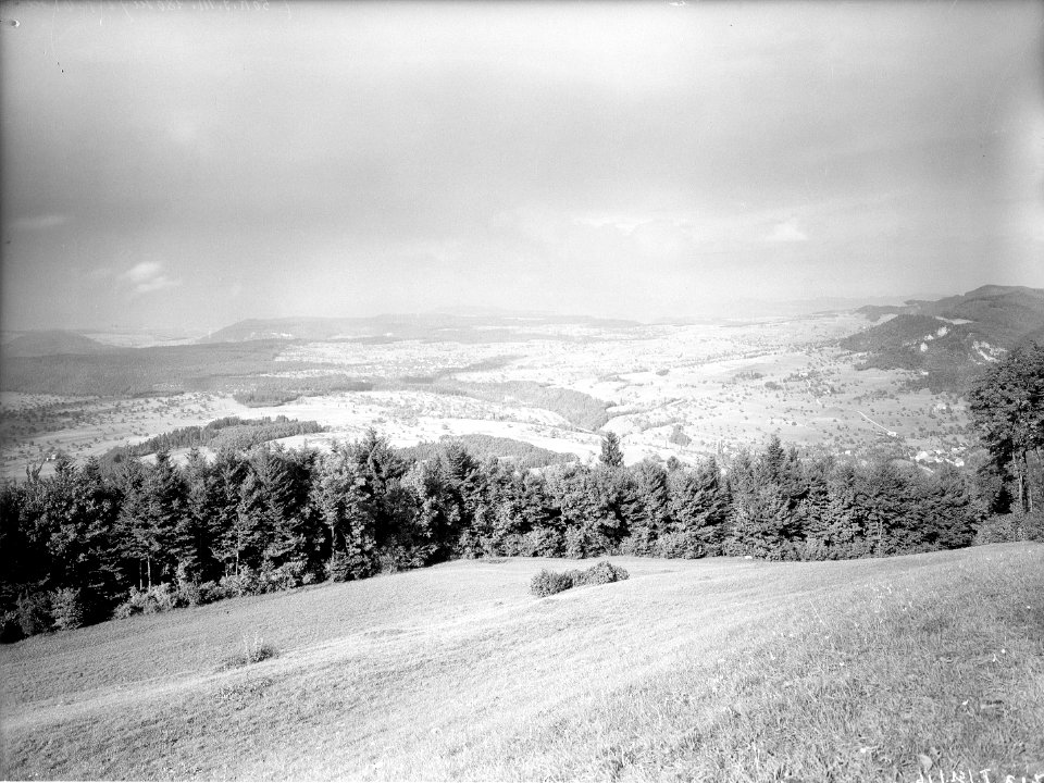 Schussfeld auf Hasmatt - CH-BAR - 3241710