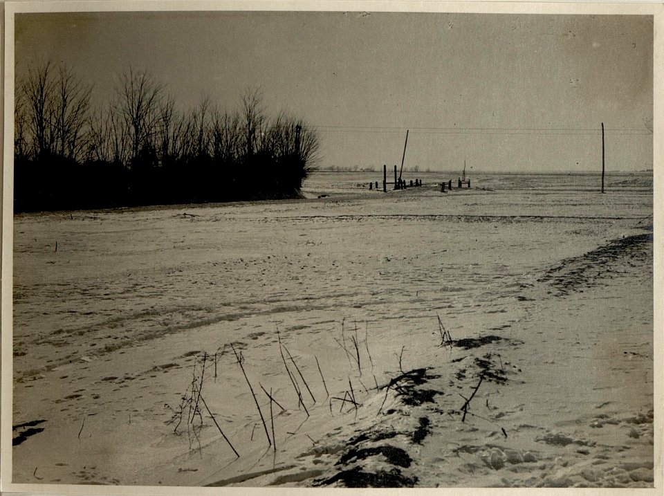 Schneefeld (Gegenlichtaufnahme) Tabarasti, 8.2.1917 (BildID 15545098)