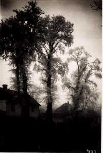 Schneereif in Wladimir Wolinsky (BildID 15708076)