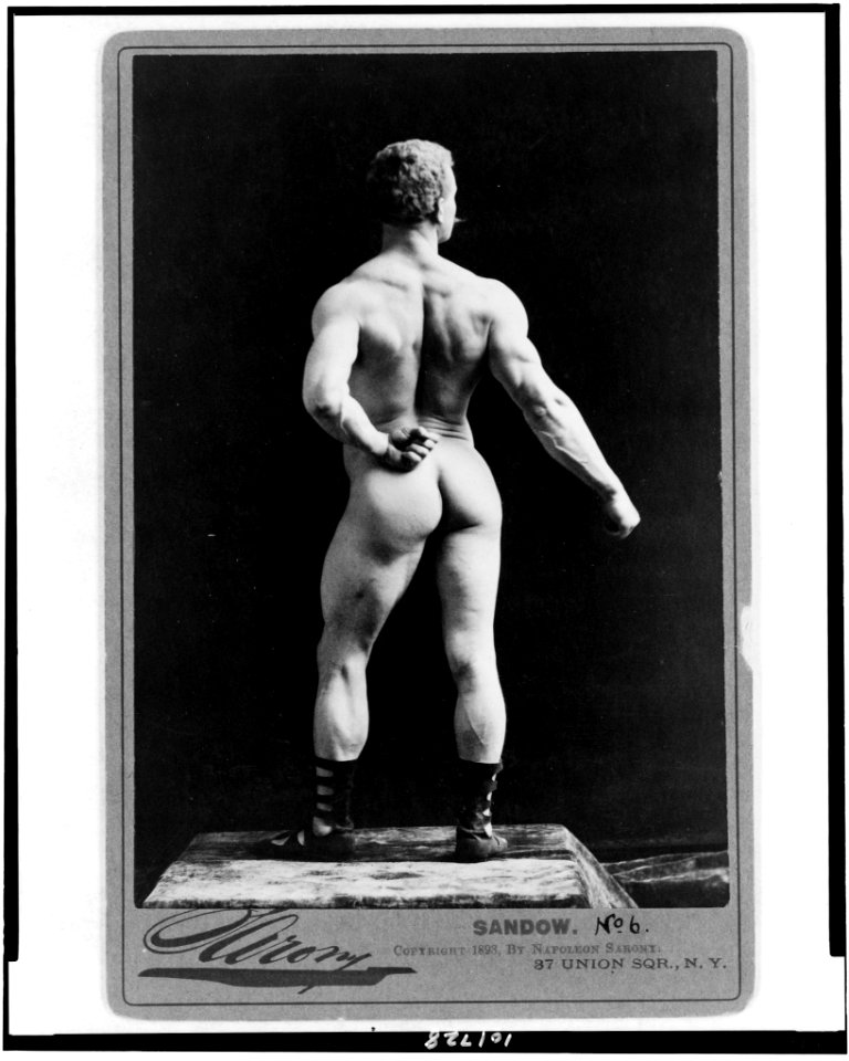 Sandow - Sarony. LCCN90713107