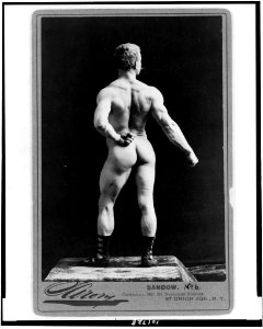 Sandow - Sarony. LCCN90713107