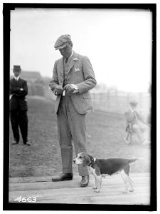 SANDS, D.C., JR., OF MIDDLEBURG, VIRGINIA. NATIONAL BEAGLE CLUB OF AMERICA LCCN2016865931