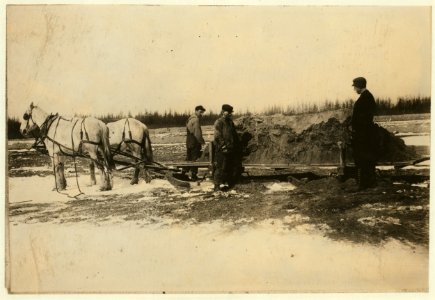 Sanding the cranberry marsh in the winter - one of the aids towards securing the fine 'stand' of vines shown in 3765. Owner - Mr. Andrew Searles. Photo through the courtesy of Mr. Searles. LOC nclc.00239