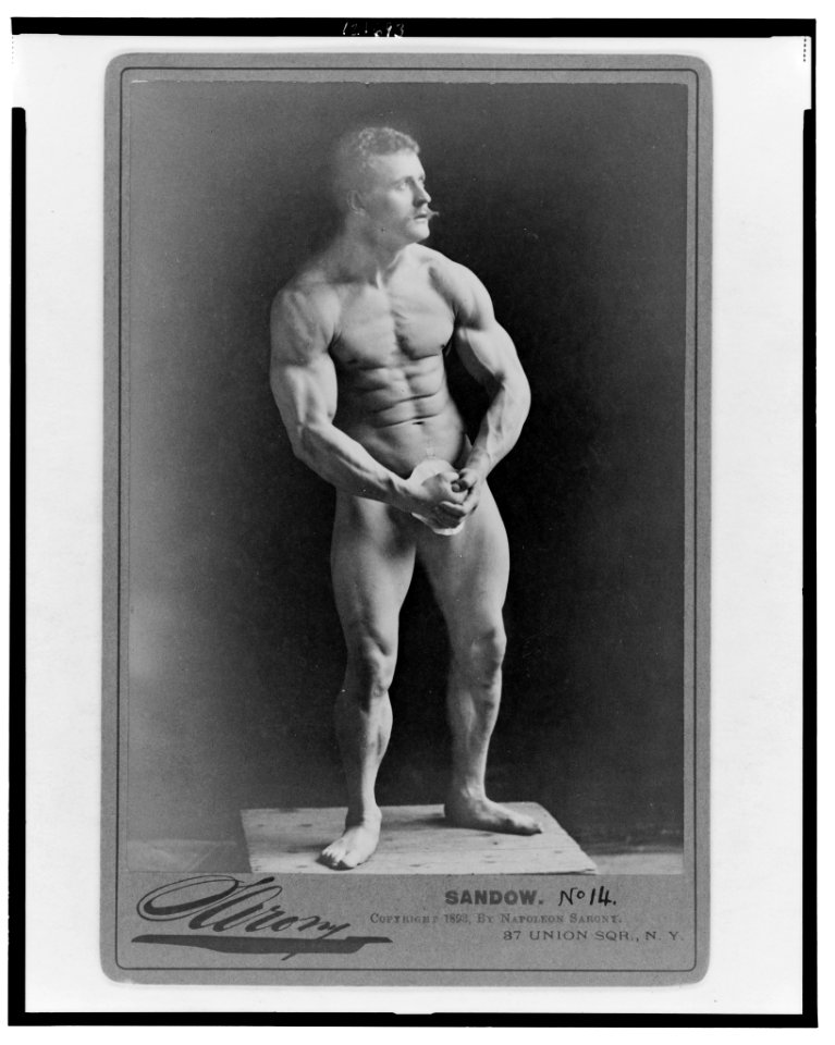 Sandow - Sarony. LCCN98516562