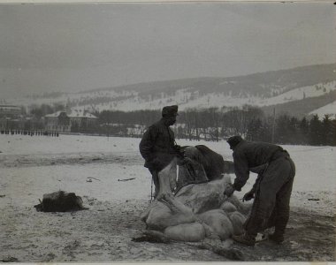 Schlächterei in Dorna watra (BildID 15453263)