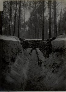 Sandstellung im Wald im Abschnitt des Infanterieregimentes 4 (BildID 15446278)