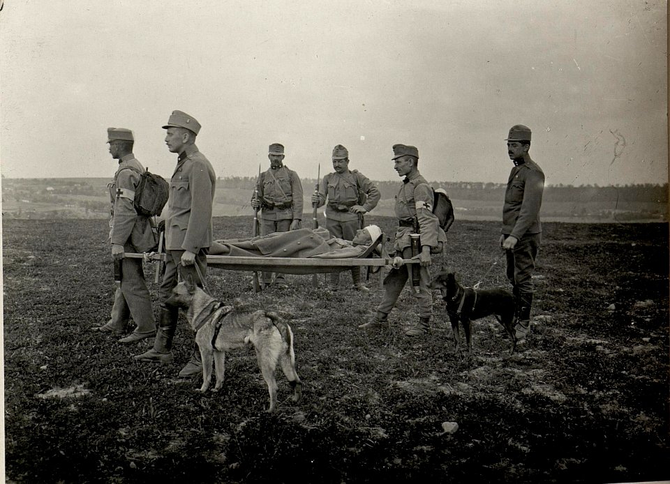 Sanitäts Patrouille mit Sanitätshunden. Aufgenommen am 12. V. 1916. BUCZACZ. (BildID 15537514)