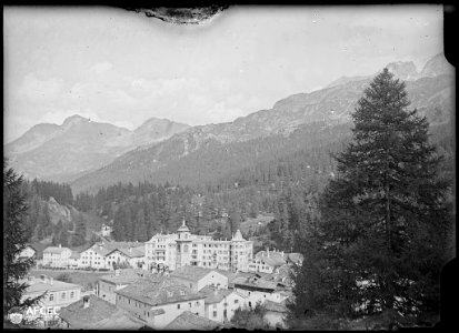 Sankt Moritz entre arbres i muntanyes