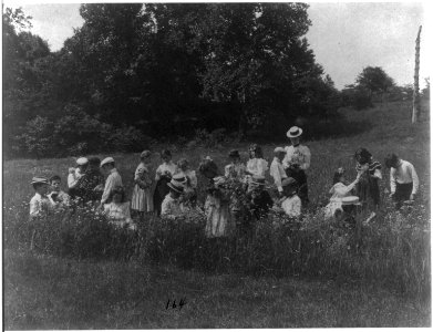 School children examining wild flowers on field trip - 1st Division, Washington, D.C., public school LCCN2001703692