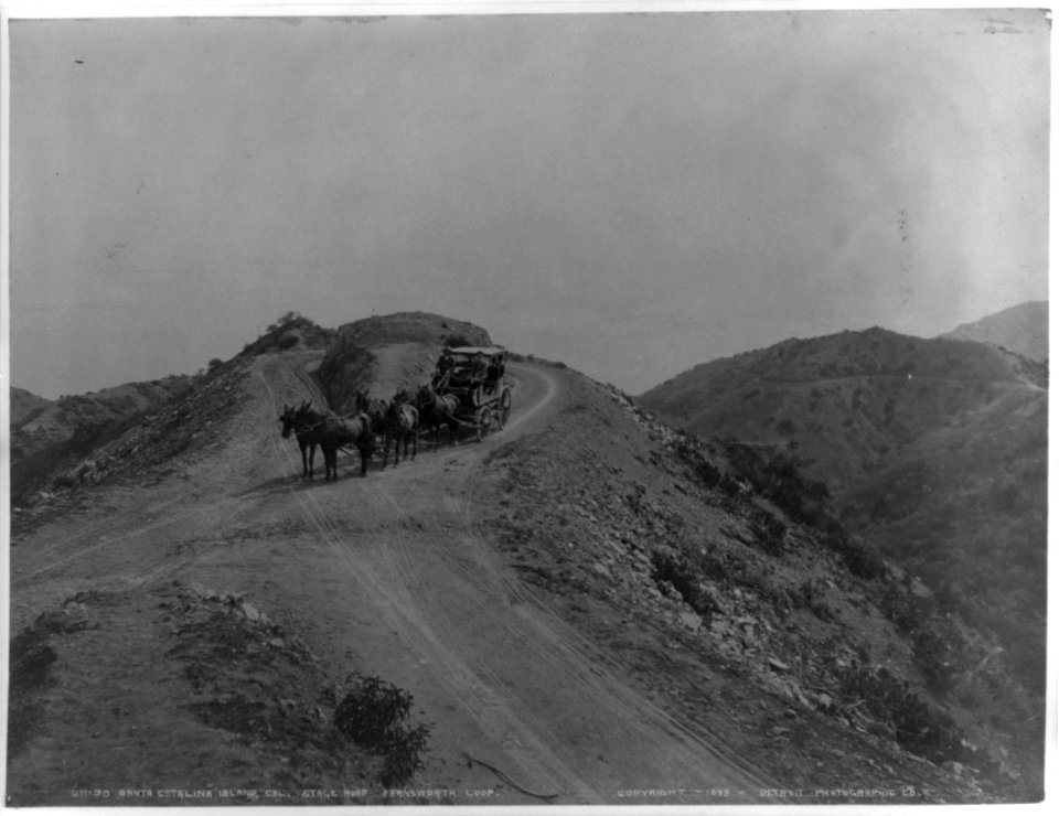 Santa Catalina Island, Cal. - Stage road - Farnsworth Loop LCCN2002699073