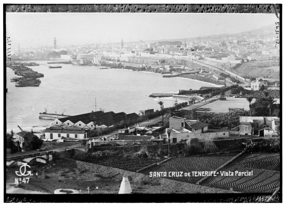 Santa Cruz de Tenerife - Vista parcial LCCN2014713783
