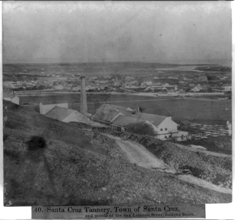 Santa Cruz Tannery, Town of Santa Cruz, and mouth of the San Lorenzo River, looking south LCCN2002723837
