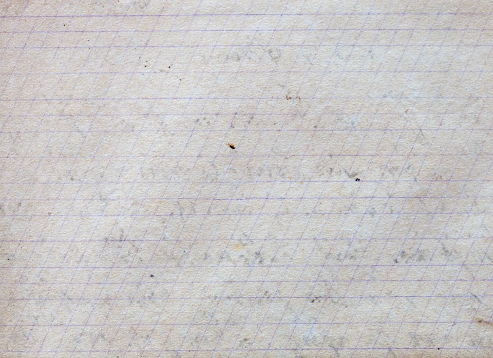 Schreibpapier 1941 mit schraegen Hilfslinien 2
