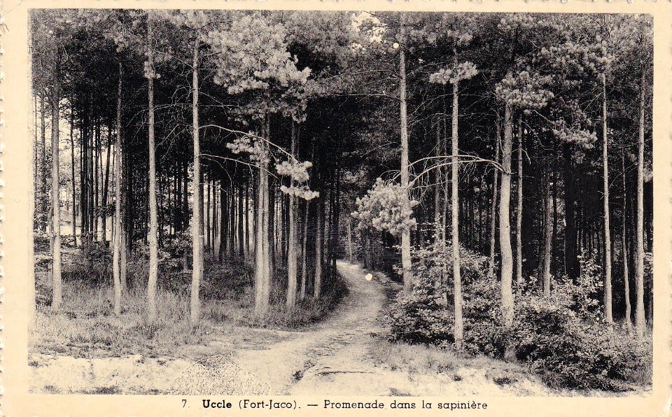 Sapinière - Uccle - Fort Jaco 02