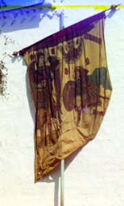 Sapiega's standard