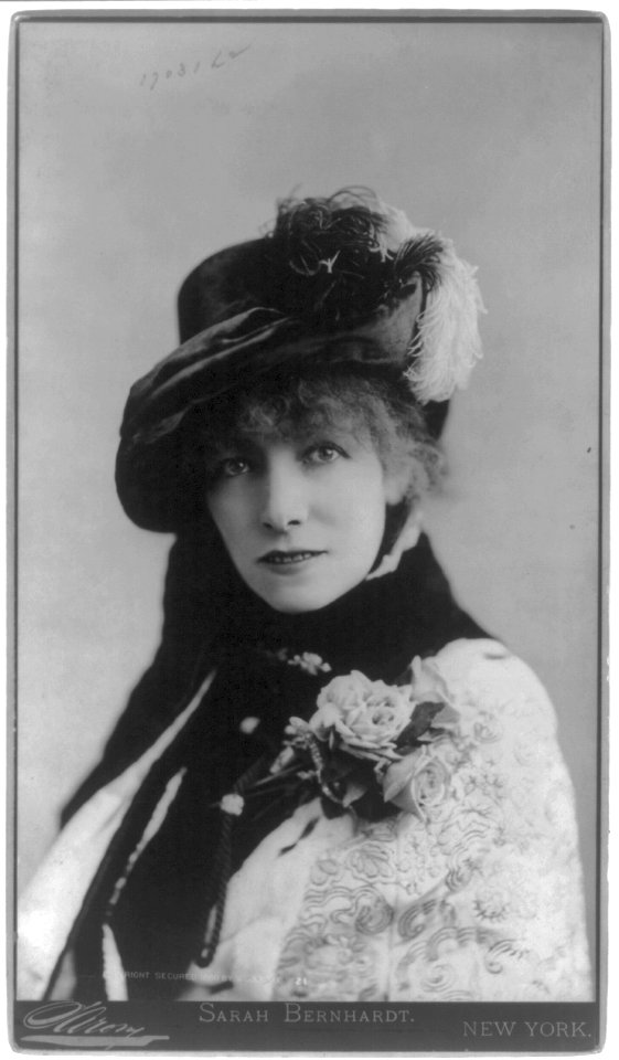 Sarah Bernhardt LCCN2005685633