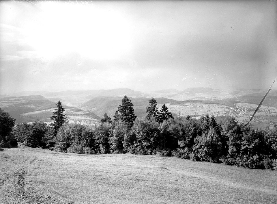 Schussfeld auf Hasmatt - CH-BAR - 3241708