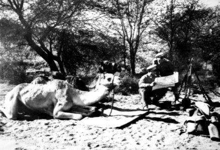 Schutztruppe in Deutsch-Südwest (heute Namibia), 1910-1914 - 2011-02-17 041