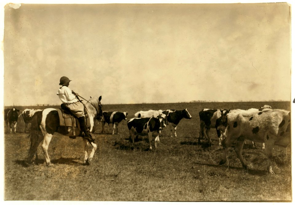Sarah Crutcher, 12-year-old girl herding cattle. Route 4, c-o S.O. Crutcher. She was out of school (-49 Comanche County) only 2 weeks this year and that was to herd 100 head of cattle for LOC nclc.00682