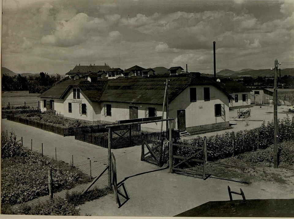 Sanierungsanstalt in Klagenfurt. Gesamtansicht. Aufgenommen am 21. Juli 1916. (BildID 15477814)