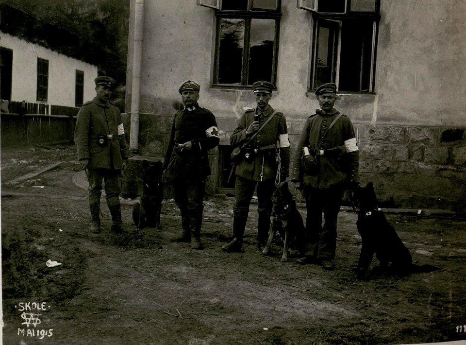 Sanitätshunde, Skole. (BildID 15517557)