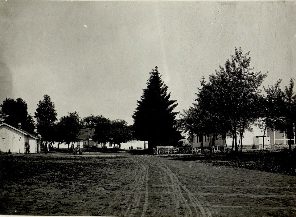 Sanitätskolonne der 32. Infanteriedivision bei Seranka, Galizien, 1917 (BildID 15543430)