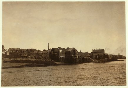 Sardine canneries at Eastport, Maine. LOC nclc.00940