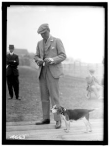 SANDS, D.C., JR., OF MIDDLEBURG, VIRGINIA. NATIONAL BEAGLE CLUB OF AMERICA LCCN2016865931