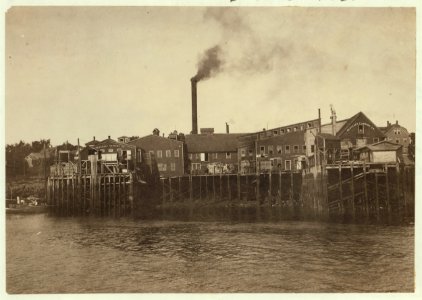 Sardine canneries at Eastport, Maine. LOC cph.3b37902