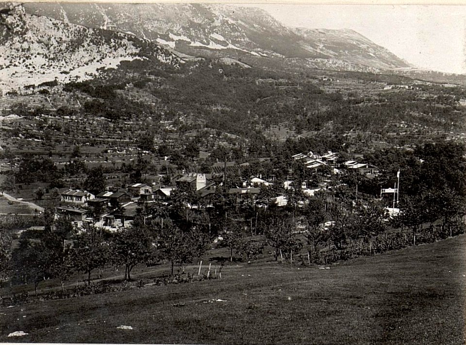 Sanitätskolone in Osek.28.8.17. (BildID 15600452)