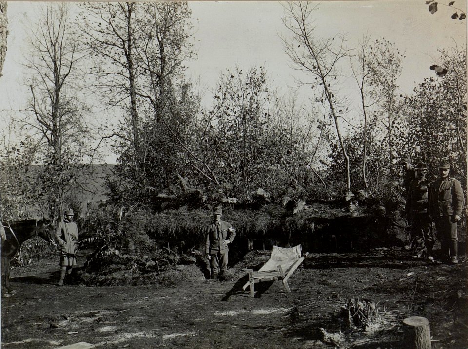 Sanitätsstation 2-84 in Kolonia Turkowitzy (BildID 15442419)