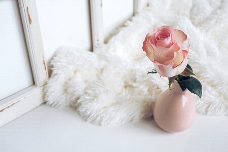 Display fur design