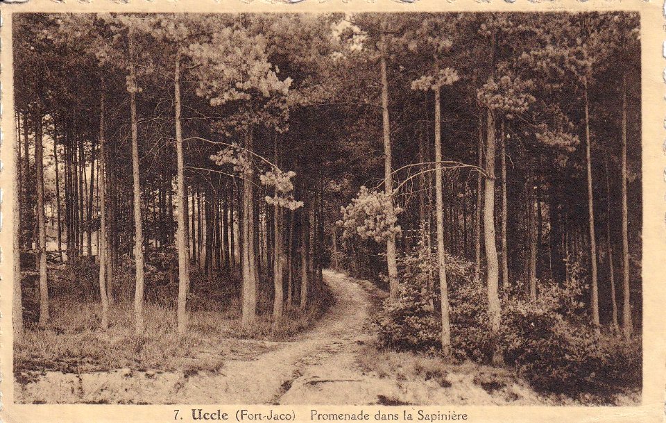 Sapinière - Uccle - Fort Jaco 01