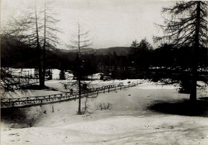 Sattelhöhe südlich des Karersee - Hotels, Blick gegen die Ötztaler Alpen. (BildID 15581149)
