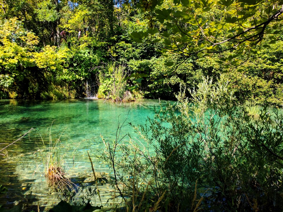 National park nature lake
