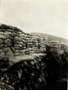 Schützengraben des königlich - ungarischen Landsturmbataillons III-I auf Kote 85, 18.3.1916. (BildID 15594158)