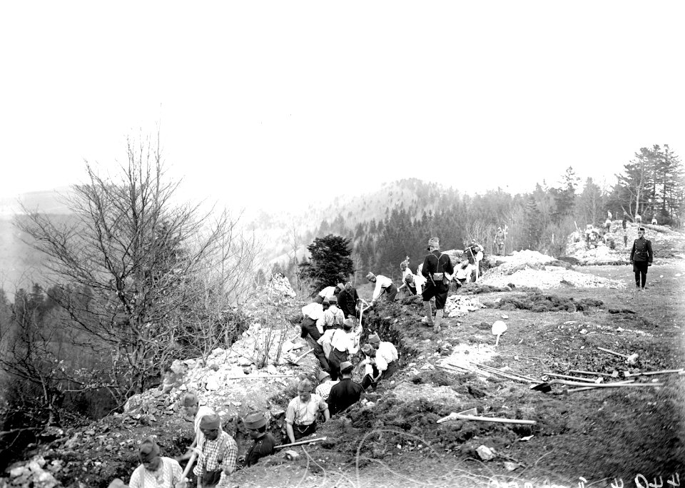Schützengrabenbau auf Pkt. 954 bei Basuelle - CH-BAR - 3240457