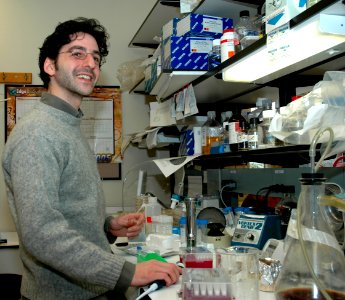 Scientist working in laboratory photo