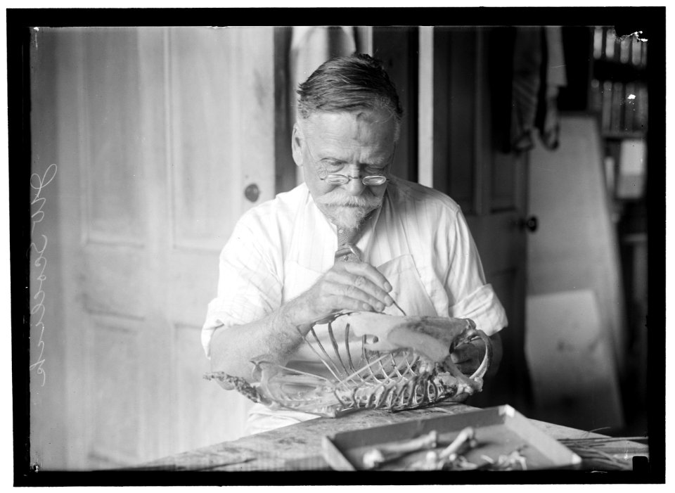 SCOLLICK, J.W., OF SMITHSONIAN INSTITUTE LCCN2016866833