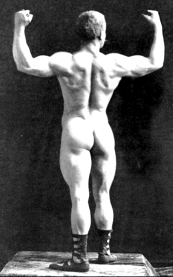 Sarony, Napoleon - Eugene Sandow - 1893