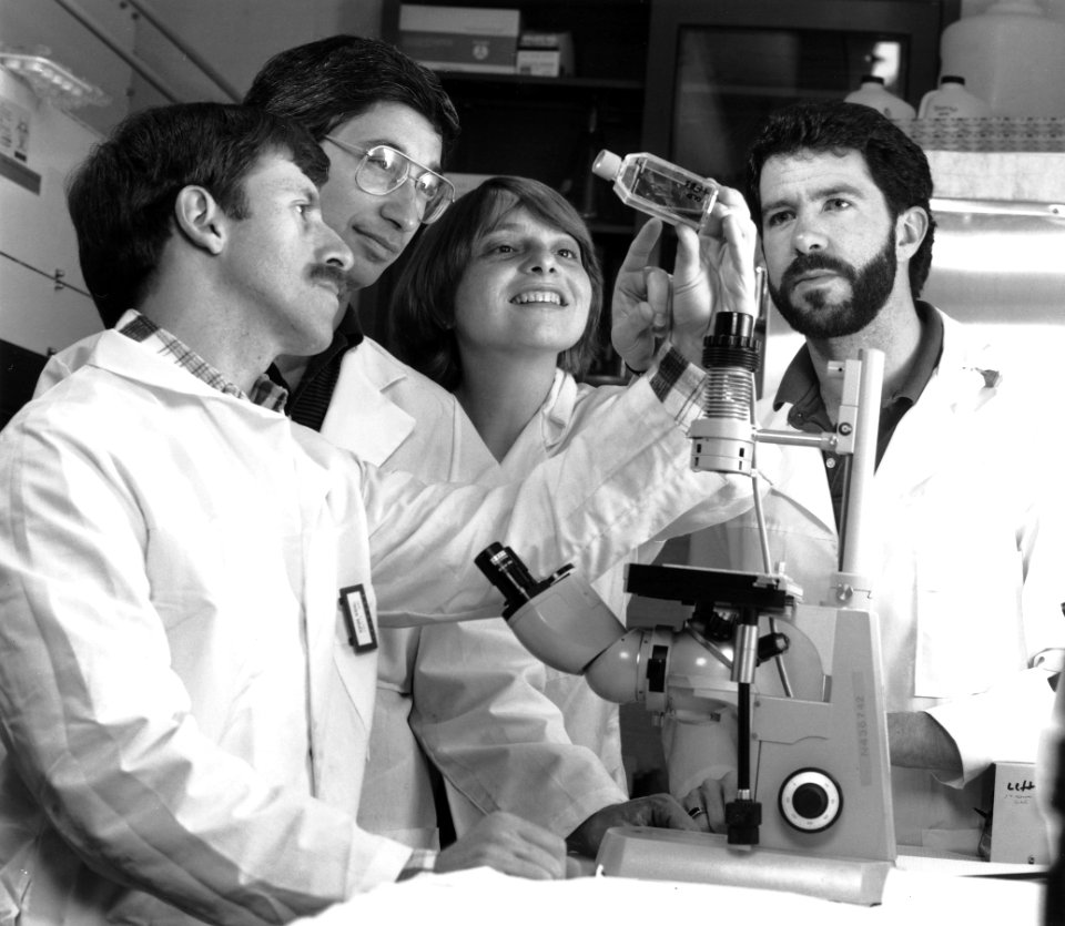 Scientists examine tissue culture flask