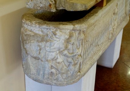 Sarcophagus with elephants fighting a leopard, Rome, c. 250 AD, marble, H 5969, view 2 - Martin von Wagner Museum - Würzburg, Germany - DSC05915