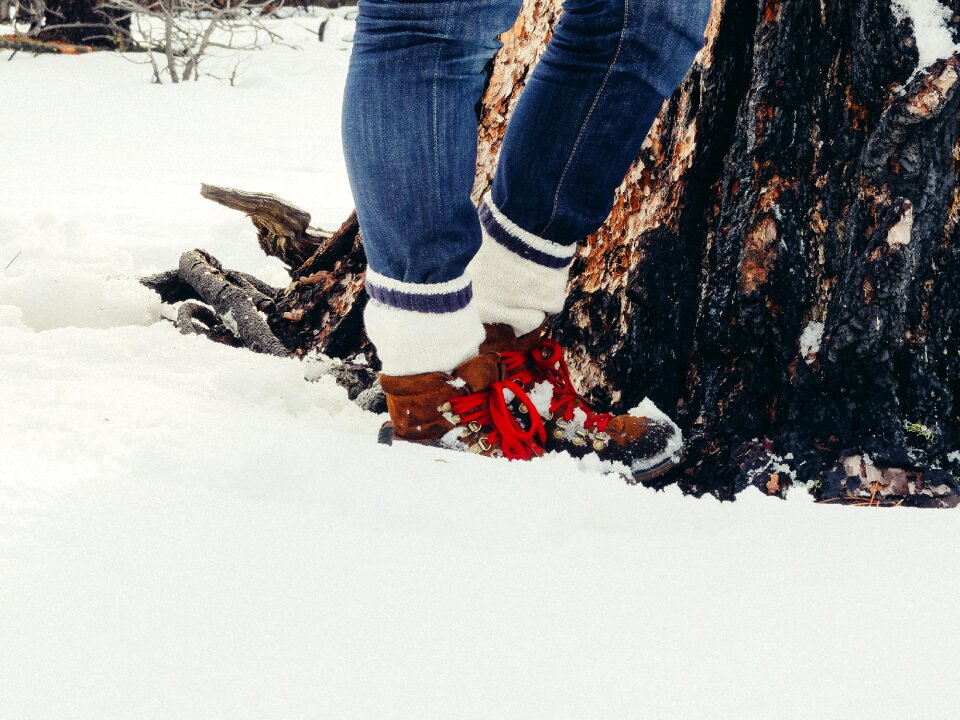 Footwear shoes socks