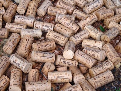 Cork wine wineries