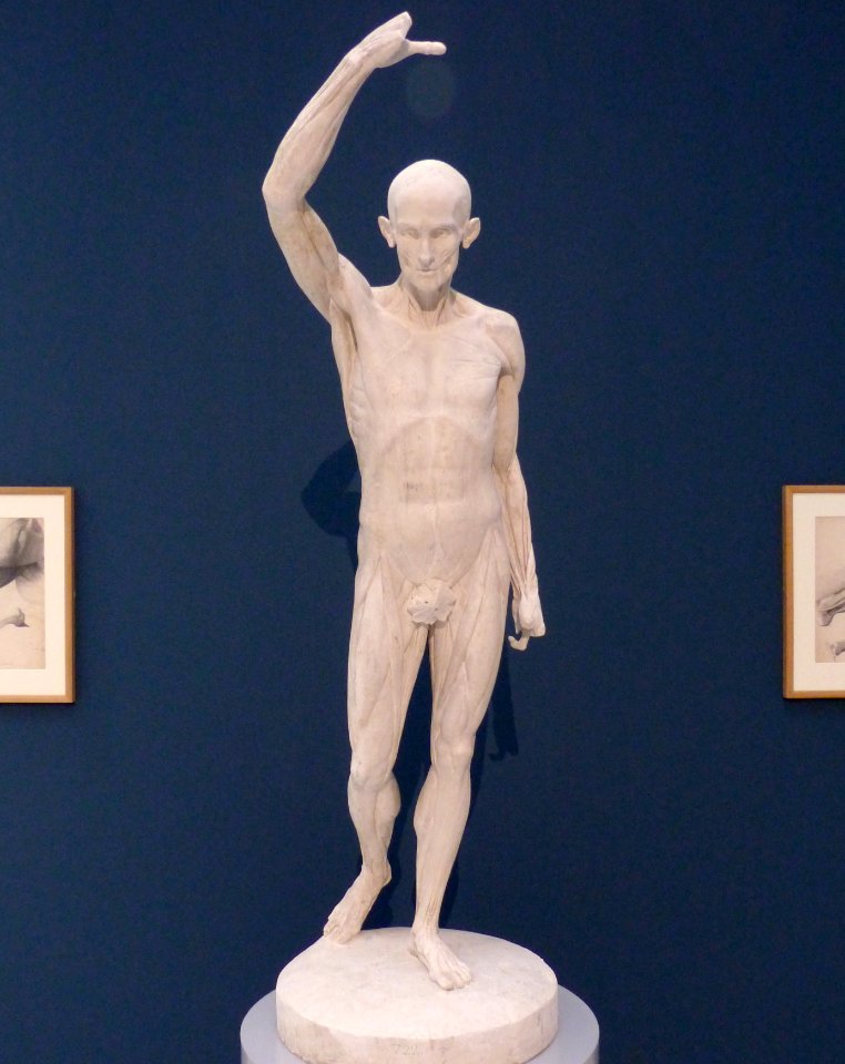 SculpturesMuséeFabre28a Houdon écorché
