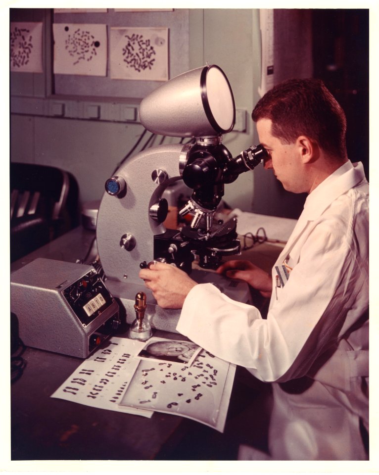 Scientist counting chromosomes (14336299246)