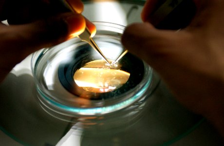 Scientist extracts chorion (3)