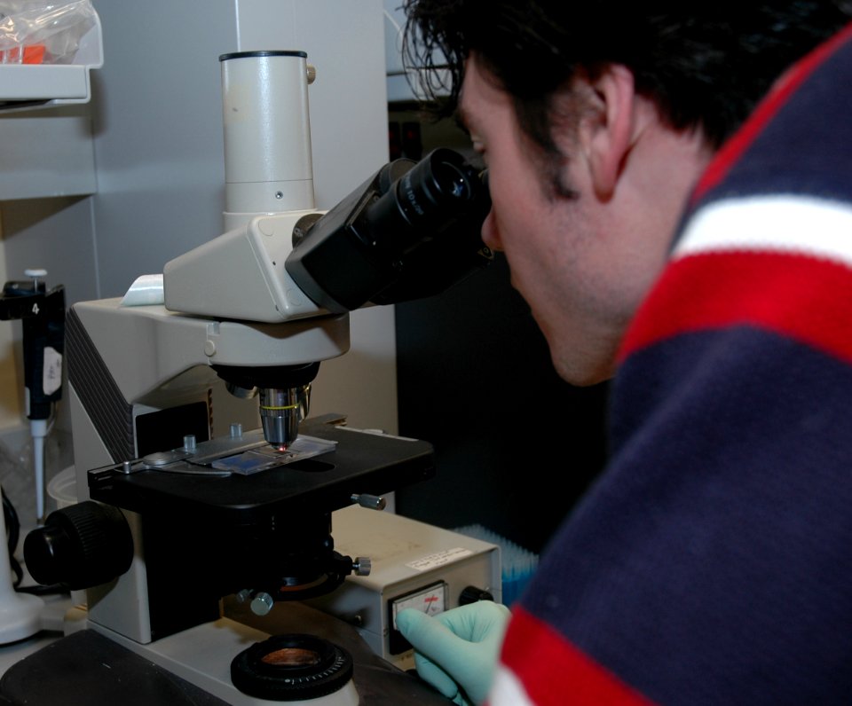 Scientist working in laboratory (2)