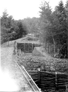 Schützengraben im Werk Niederholz - CH-BAR - 3241728